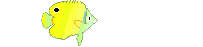 fish.gif