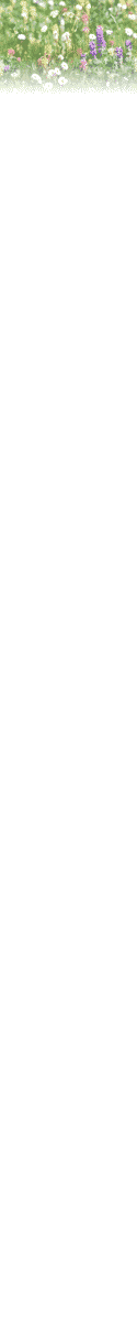flower.gif