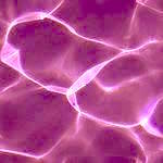01 copy 2.jpg