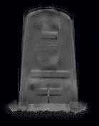 hateani1.gif