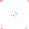 pink1.gif
