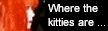 koneko 4.gif