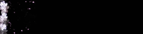 mauka00.jpg