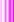 pinkline.gif