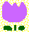 purple.gif