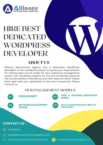 dedicated wordpress developer.jpg