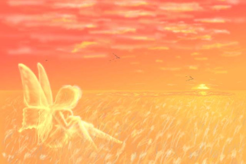 sunset3.jpg