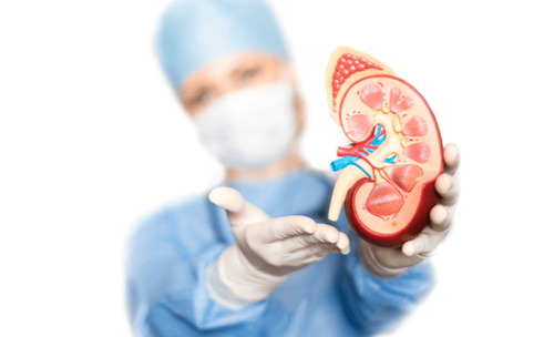Life After A Kidney Transplant – What You Need To Know And Do | Medanta.png