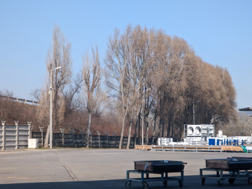 PXL 20230213 113901101.jpg