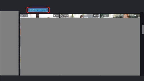 HOST wwv.pornktube.jpg