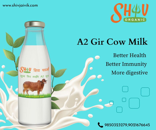 A2 Gir Cow Milk (1).jpg