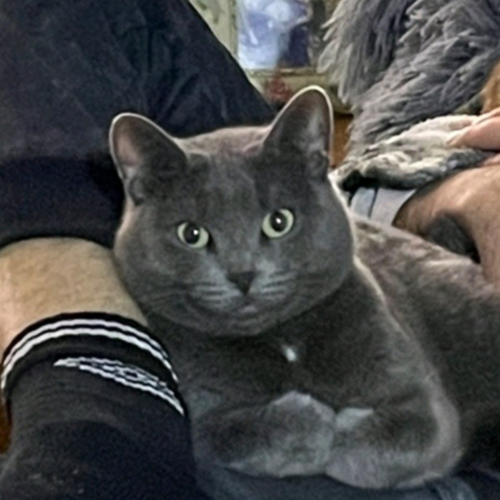 344c24b74114.png