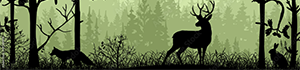 banner.png