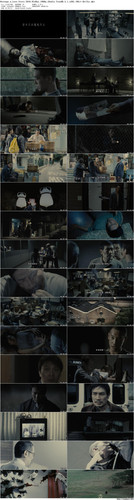 Revenge.a.Love.Story.2010.BluRay.1080p.2Audio.TrueHD.5.1.x265.10bit BeiTai preview.jpg