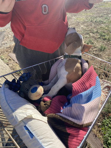 6EC7261C C9AC 4818 977A FE45C59C29E1.jpg