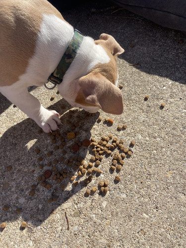 51809FA3 5B46 4CF8 A7AE 02A84B303484.jpg