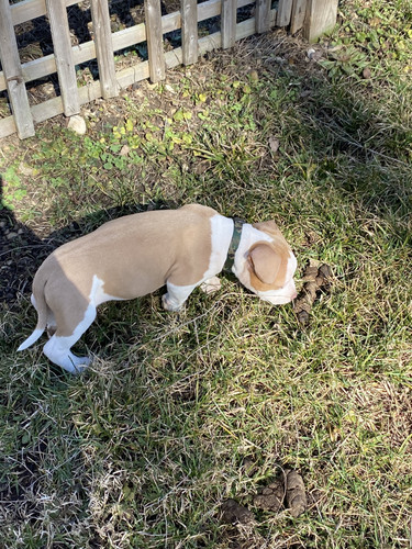 87559B8C FB14 46C1 AEAF 480A2E223CDC.jpg