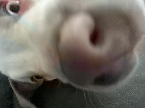 1C4452A4 9172 402E 8006 3DAB8CCC18CD.jpg