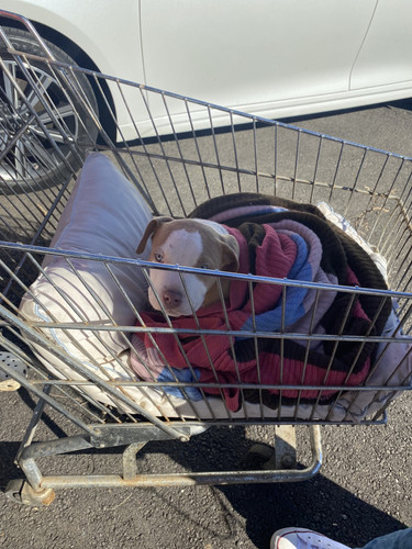 80A2B7F3 6E13 45D2 AC9F C060E9A043C0.jpg