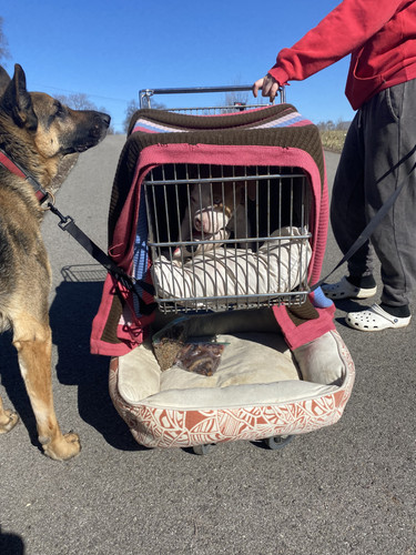 0EB64F98 E44D 4011 A24D 1F435BD0E3F8.jpg