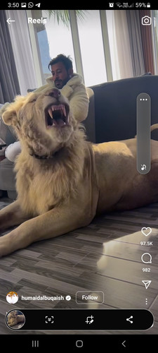 Screenshot 20230211 035028 Instagram.jpg