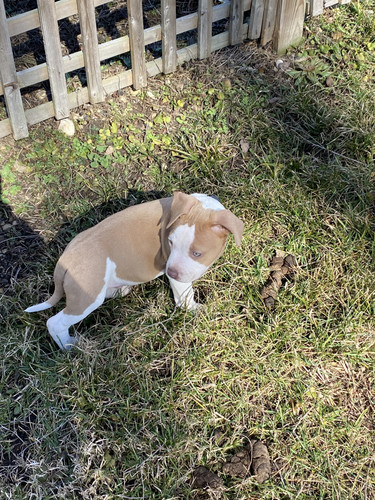 252E3647 A8A5 4C43 A2BA D6EFC5A97294.jpg