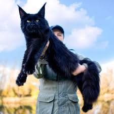 612BE9B1 546F 4146 B1EC 22ACAA3A5E88.jpg