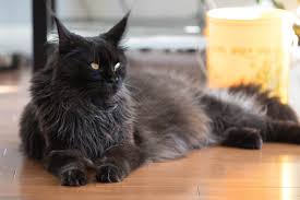 0B07D936 FCDD 433B BD9C 7B4220C034D0.jpg