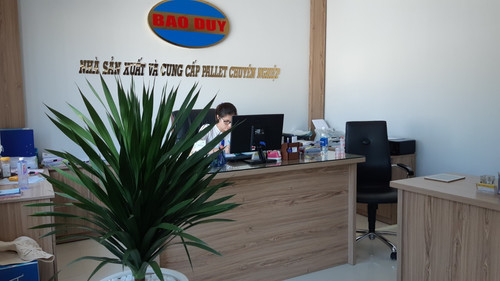 1919 CÔNG TY TNHH SẢN XUẤT THƯƠNG MẠI DỊCH VỤ XUẤT NHẬP KHẨU BẢO DUY (1).jpg