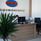 1919 CÔNG TY TNHH SẢN XUẤT THƯƠNG MẠI DỊCH VỤ XUẤT NHẬP KHẨU BẢO DUY (1)