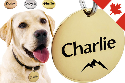 amazon main 3 copie321123.jpg