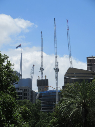 IMG 4802.jpg