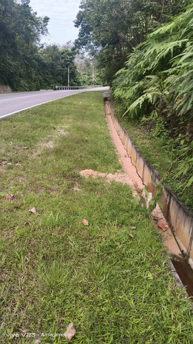 felcra rompin.jpg
