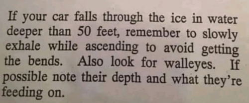 1676419068053.png