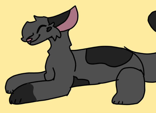 4D0E4D16 C725 44B1 A906 FA35406EC998 (2)