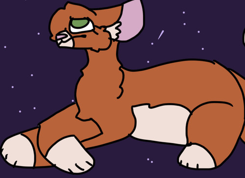 8B55C206 AE99 4B99 958E 13A5753DD89F