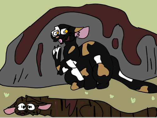 5556C235 F4B3 4DBD A1DB AE3C89C4DD58 (1)