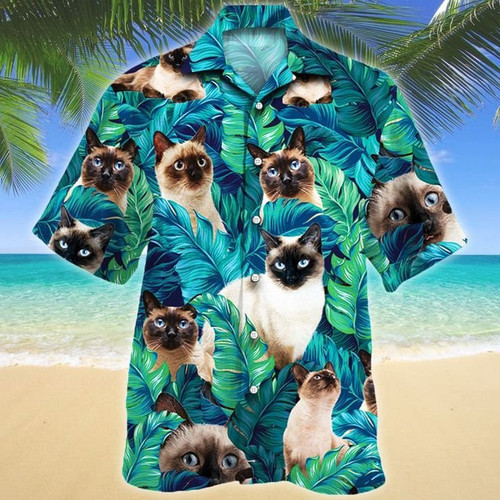 SIAMESE CATa.jpg