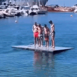 04zOtter 1rydhf3c11c489f1.gif