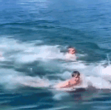 19zOtter 4rydhf 276124314a.gif