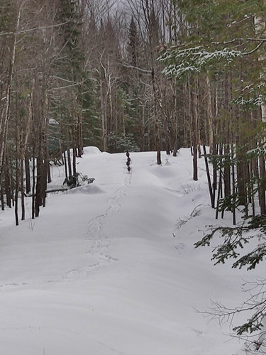 IMG 20230214 130619.jpg