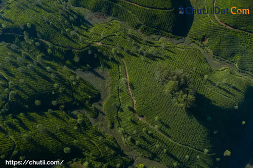 Best Darjeeling Tour Provider in Kolkata, India: Chutii Dot Com.jpg