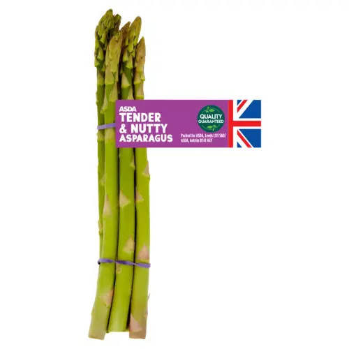 5057172310364 T1.webp