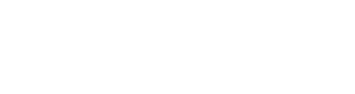 ASA UNDNAGAN LOGO WEB.png