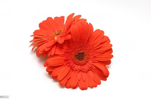 istockphoto 1465370462 1024x1024 transformed.jpg