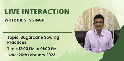 Dr. S. N Singh.png