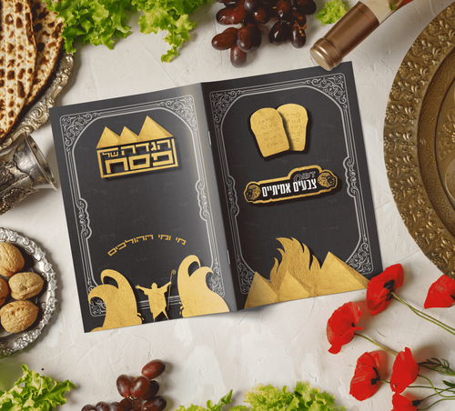 דגם משה זהב.png