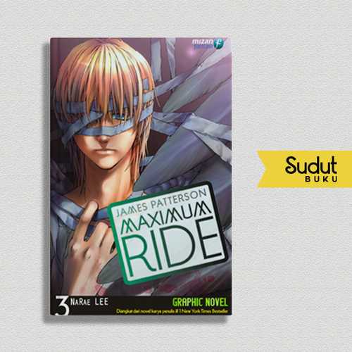 MAXIMUM RIDE 3.png