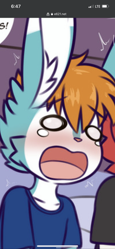 AAD88B4E 2750 40D6 BAFA AE3BA6326420.png