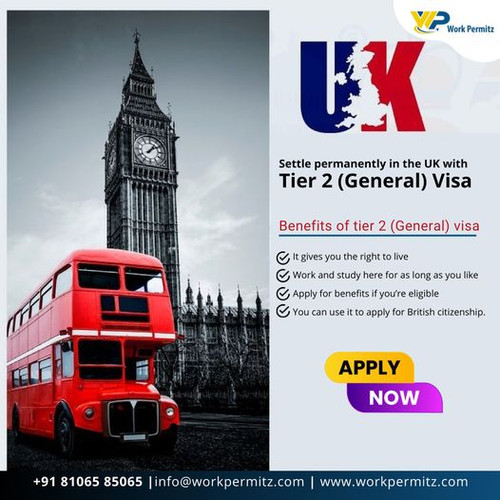 Settle Permanently In The UK With Tire2 (General) Visa.jpg